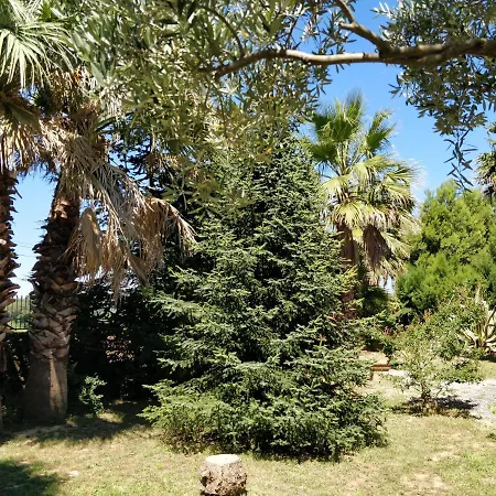 D'hotes La Romaine Bed & Breakfast Saint-Andre-de-Roquelongue